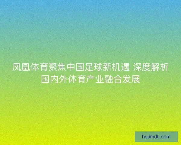 凤凰体育聚焦中国足球新机遇 深度解析国内外体育产业融合发展